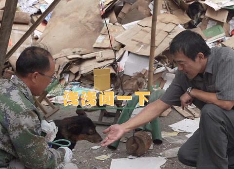 海外追劇族必看:解決愛奇藝區域限制卡頓問題的實用技巧分享