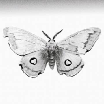 海外華人留學生必看:輕鬆解決愛奇藝版權限制與加載失敗問題